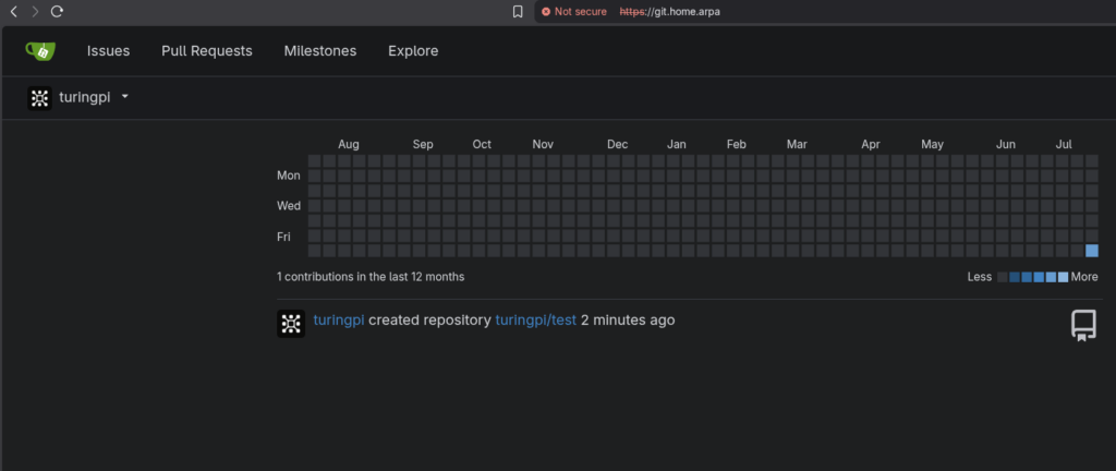 Gitea dashboard loading successfully over HTTPS at https://git.home.arpa through Caddy, showing the turingpi user's repository and contribution graph