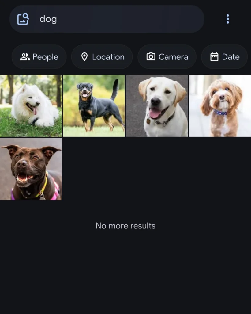 Immich semantic search results for the query "dog" showing five matching photos retrieved from a self-hosted library running on Turing Pi 2.5