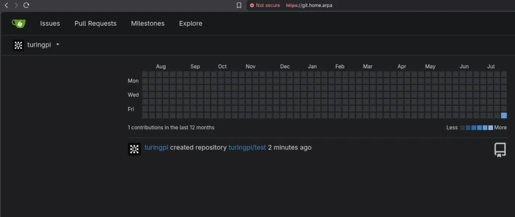 Gitea dashboard loading successfully over HTTPS at https://git.home.arpa through Caddy, showing the turingpi user's repository and contribution graph